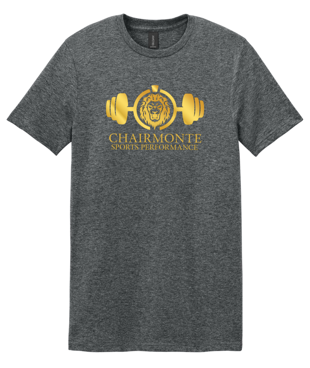 CSP Gray Softstyle Tee