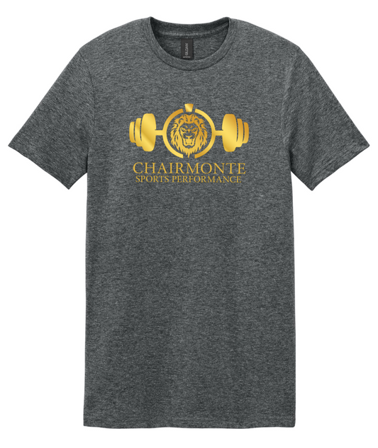 CSP Gray Softstyle Tee